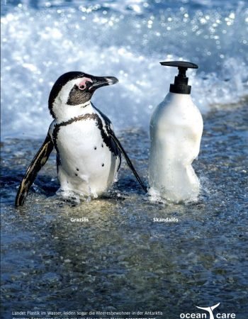 Ocean Cafre Pinguin