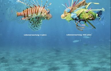 Plastikmüll Meere