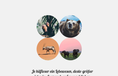 Tierschutz Blogartikel
