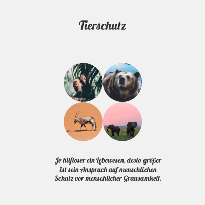 Tierschutz Blogartikel